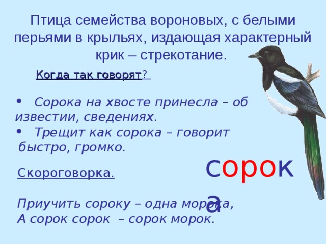 Сорок ответить. Птицы семейства вороновых. Скороговорки про птиц. Сорок сорок скороговорка. Скороговорка про сороку.