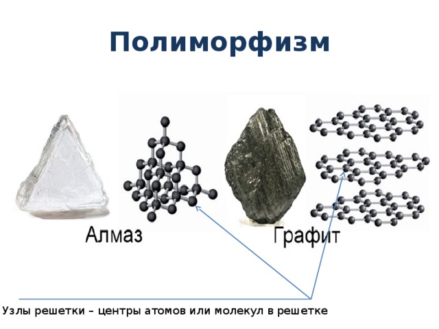 Графит и алмаз образованы. Полиморфные модификации углерода. Углерод Алмаз и графит. Полиморфизм твердых тел. Полиморфизм кристаллов примеры.