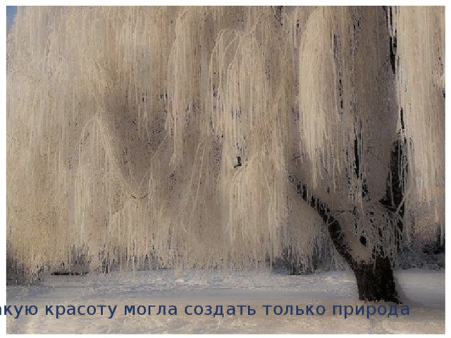 Такую красоту могла создать только природа 