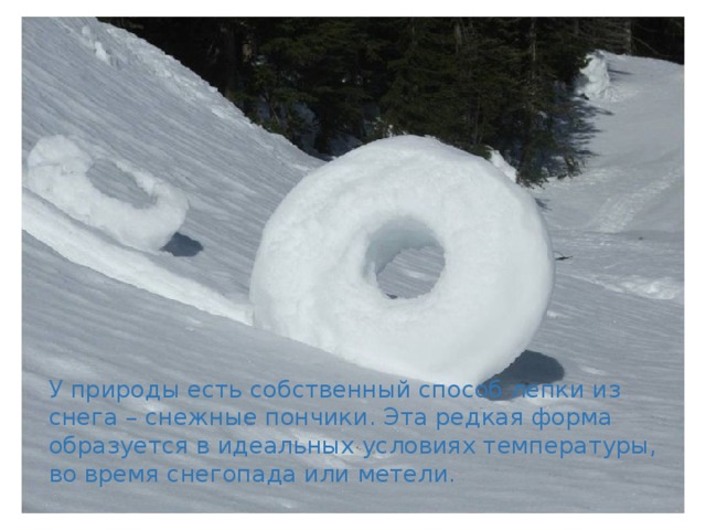 У природы есть собственный способ лепки из снега – снежные пончики. Эта редкая форма образуется в идеальных условиях температуры, во время снегопада или метели.  