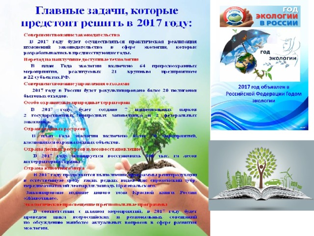 Год экологии. Задачи года экологии. Год экологии в России 2021. 2017 Год экологии в России основные итоги. 2017 Год был объявлен в России годом экологии.