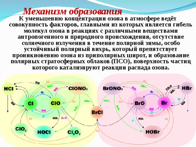 Механизм образования К уменьшению концентрации озона в атмосфере ведёт совокупность факторов, главными из которых является гибель молекул озона в реакциях с различными веществами антропогенного и природного происхождения, отсутствие солнечного излучения в течение полярной зимы, особо устойчивый полярный вихрь, который препятствует проникновению озона из приполярных широт, и образование полярных стратосферных облаков (ПСО), поверхность частиц которого катализируют реакции распада озона. 