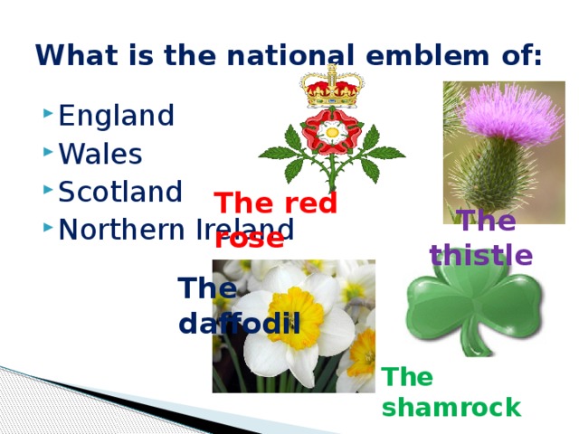 National emblem of england. What is the Emblem of Wales?. What is the Emblem of Scotland?. What is the National Emblem of Scotland?. What is the Emblem of England?.