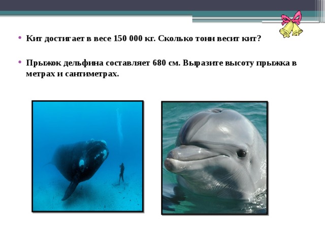 Кит достигает в весе 150 000 кг. Сколько тонн весит кит?  Прыжок дельфина составляет 680 см. Выразите высоту прыжка в метрах и сантиметрах.  