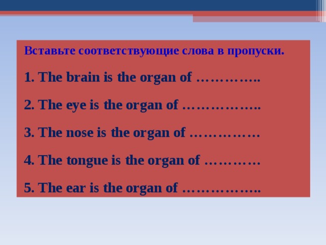 Вставьте соответствующие слова в пропуски. 1. The brain is the organ of ………….. 2. The eye is the organ of …………….. 3. The nose is the organ of …………… 4. The tongue is the organ of ………… 5. The ear is the organ of …………….. 