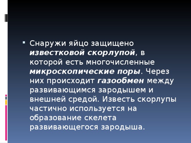 Снаружи яйцо защищено известковой скорлупой , в которой есть многочисленные микроскопические поры . Через них происходит газообмен между развивающимся зародышем и внешней средой. Известь скорлупы частично используется на образование скелета развивающегося зародыша. 