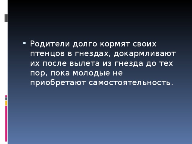 Родители долго кормят своих птенцов в гнездах, докармливают их после вылета из гнезда до тех пор, пока молодые не приобретают самостоятельность. 