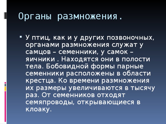 Органы размножения. У птиц, как и у других позвоночных, органами размножения служат у самцов – семенники, у самок – яичники . Находятся они в полости тела. Бобовидной формы парные семенники расположены в области крестца. Ко времени размножения их размеры увеличиваются в тысячу раз. От семенников отходят семяпроводы, открывающиеся в клоаку. 