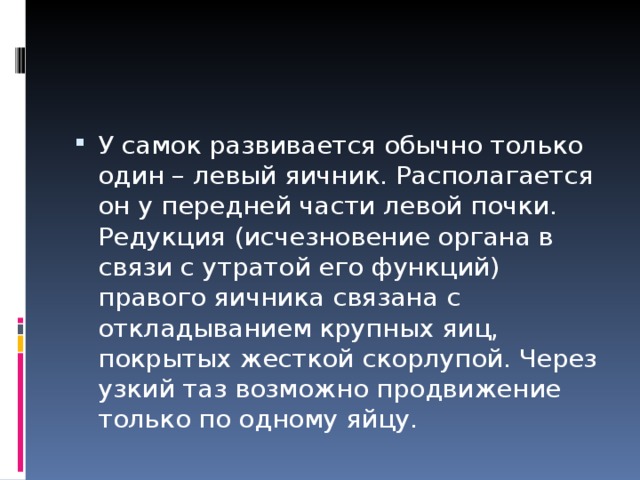 У самок развивается обычно только один – левый яичник. Располагается он у передней части левой почки. Редукция (исчезновение органа в связи с утратой его функций) правого яичника связана с откладыванием крупных яиц, покрытых жесткой скорлупой. Через узкий таз возможно продвижение только по одному яйцу. 