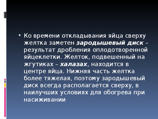 Ко времени откладывания яйца сверху желтка заметен зародышевый  диск – результат дробления оплодотворенной яйцеклетки. Желток, подвешенный на жгутиках – халазах , находится в центре яйца. Нижняя часть желтка более тяжелая, поэтому зародышевый диск всегда располагается сверху, в наилучших условиях для обогрева при насиживании 