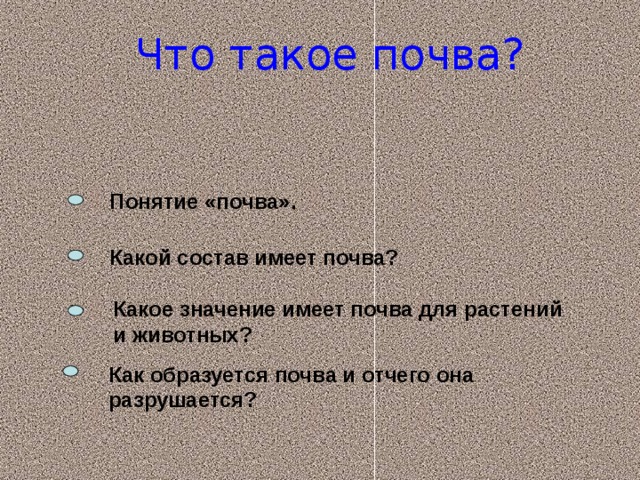 Что такое почва? Понятие «почва». Какой состав имеет почва? Какое значение имеет почва для растений и животных? Как образуется почва и отчего она разрушается?