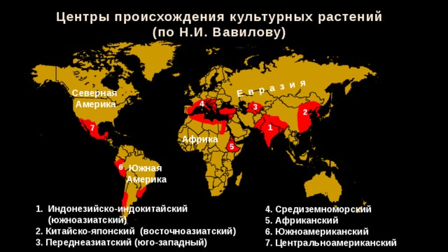 Центры происхождения культурных растений по вавилову презентация