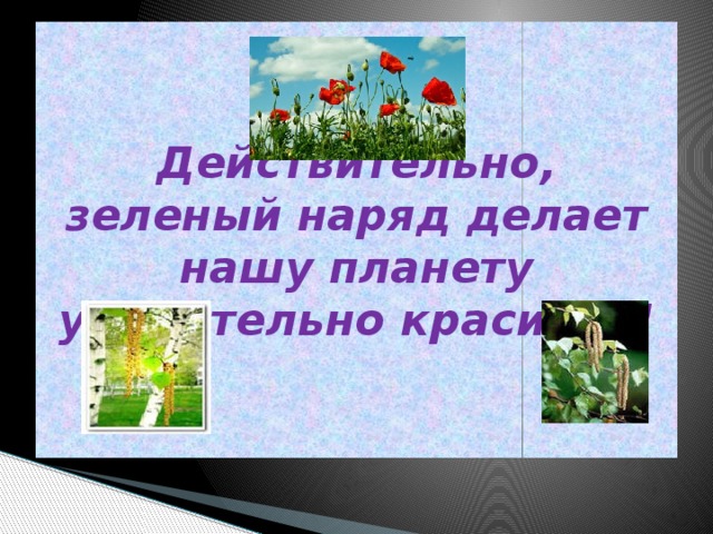 Проект сохраним зеленый наряд самарский области Перейти на страницу с картинкой