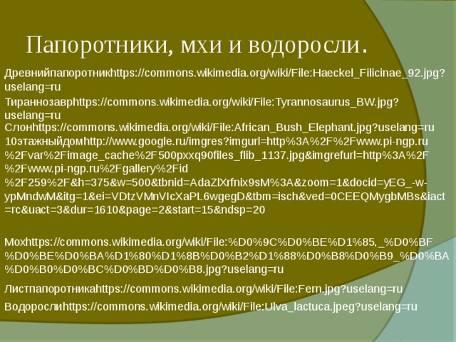 Папоротники, мхи и водоросли . Древнийпапоротникhttps://commons.wikimedia.org/wiki/File:Haeckel_Filicinae_92.jpg?uselang=ru Тираннозаврhttps://commons.wikimedia.org/wiki/File:Tyrannosaurus_BW.jpg?uselang=ru Слонhttps://commons.wikimedia.org/wiki/File:African_Bush_Elephant.jpg?uselang=ru 10этажныйдомhttp://www.google.ru/imgres?imgurl=http%3A%2F%2Fwww.pi-ngp.ru%2Fvar%2Fimage_cache%2F500pxxq90files_flib_1137.jpg&imgrefurl=http%3A%2F%2Fwww.pi-ngp.ru%2Fgallery%2Fid%2F259%2F&h=375&w=500&tbnid=AdaZlXrfnix9sM%3A&zoom=1&docid=yEG_-w-ypMndwM&itg=1&ei=VDtzVMnVIcXaPL6wgegD&tbm=isch&ved=0CEEQMygbMBs&iact=rc&uact=3&dur=1610&page=2&start=15&ndsp=20 Мохhttps://commons.wikimedia.org/wiki/File:%D0%9C%D0%BE%D1%85,_%D0%BF%D0%BE%D0%BA%D1%80%D1%8B%D0%B2%D1%88%D0%B8%D0%B9_%D0%BA%D0%B0%D0%BC%D0%BD%D0%B8.jpg?uselang=ru Листпапоротникаhttps://commons.wikimedia.org/wiki/File:Fern.jpg?uselang=ru Водорослиhttps://commons.wikimedia.org/wiki/File:Ulva_lactuca.jpeg?uselang=ru 