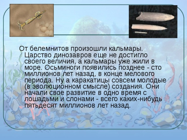  От белемнитов произошли кальмары. Царство динозавров еще не достигло своего величия, а кальмары уже жили в море. Осьминоги появились позднее - сто миллионов лет назад, в конце мелового периода. Ну а каракатицы совсем молодые (в эволюционном смысле) создания. Они начали свое развитие в одно время с лошадьми и слонами - всего каких-нибудь пятьдесят миллионов лет назад. 