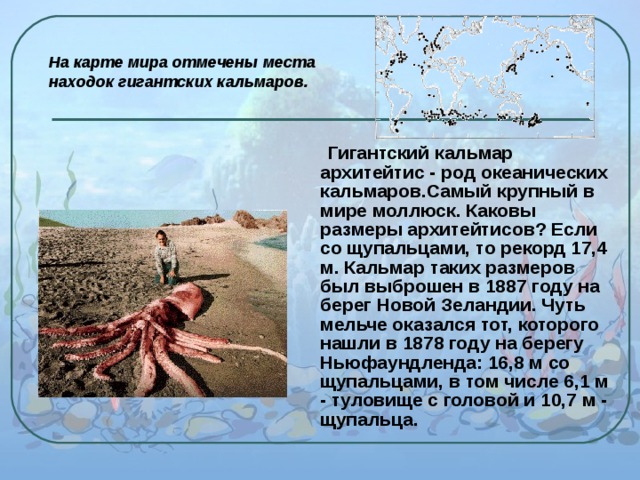 На карте мира отмечены места находок гигантских кальмаров.   Гигантский кальмар архитейтис - род океанических кальмаров.Самый крупный в мире моллюск. Каковы размеры архитейтисов? Если со щупальцами, то рекорд 17,4 м. Кальмар таких размеров был выброшен в 1887 году на берег Новой Зеландии. Чуть мельче оказался тот, которого нашли в 1878 году на берегу Ньюфаундленда: 16,8 м со щупальцами, в том числе 6,1 м - туловище с головой и 10,7 м - щупальца. 