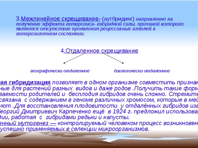 Приведите примеры использования в селекции явления гетерозиса