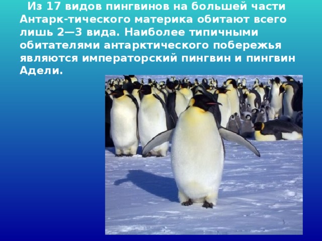 PPT - Ты, человек, любя природу, Хоть иногда ее жалей. В увеселительных походах