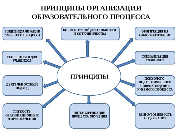 Учебный процесс в образовательной организации. Принципы организации образовательного процесса. Принципы организации педагогического процесса. Принципы организации воспитательного процесса. Принципы учебного процесса в вузе.