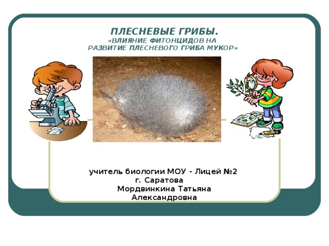 Презентация к проекту " Влияние фитонцидов на сохранность пищевых продуктов"