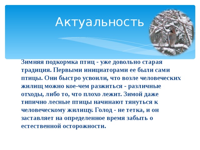 Актуальность Зимняя подкормка птиц - уже довольно старая традиция. Первыми инициаторами ее были сами птицы. Они быстро усвоили, что возле человеческих жилищ можно кое-чем разжиться - различные отходы, либо то, что плохо лежит. Зимой даже типично лесные птицы начинают тянуться к человеческому жилищу. Голод - не тетка, и он заставляет на определенное время забыть о естественной осторожности. 