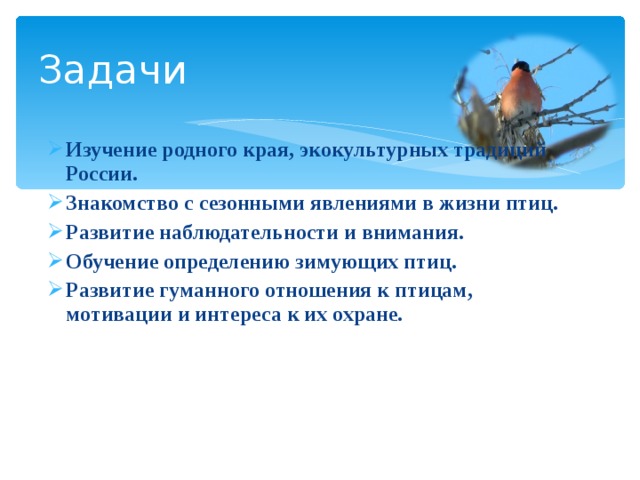 Задачи Изучение родного края, экокультурных традиций России. Знакомство с сезонными явлениями в жизни птиц. Развитие наблюдательности и внимания. Обучение определению зимующих птиц. Развитие гуманного отношения к птицам, мотивации и интереса к их охране. 