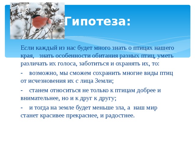 Гипотеза: Если каждый из нас будет много знать о птицах нашего края, знать особенности обитания разных птиц, уметь различать их голоса, заботиться и охранять их, то: -    возможно, мы сможем сохранить многие виды птиц от исчезновения их с лица Земли; -    станем относиться не только к птицам добрее и внимательнее, но и к друг к другу; -    и тогда на земле будет меньше зла, а наш мир станет красивее прекраснее, и радостнее.   