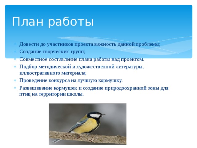 План работы Довести до участников проекта важность данной проблемы; Создание творческих групп; Совместное составление плана работы над проектом. Подбор методической и художественной литературы, иллюстративного материала; Проведение конкурса на лучшую кормушку. Развешивание кормушек и создание природоохранной зоны для птиц на территории школы. 