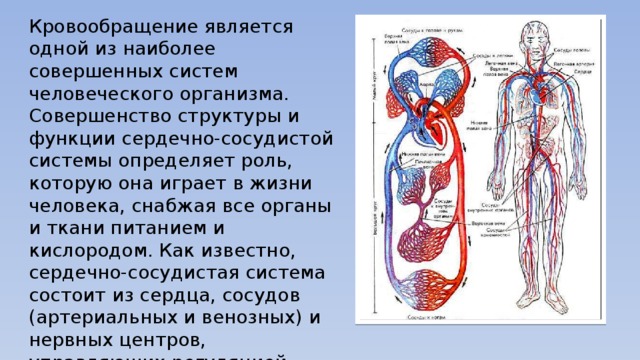 Повышение проницаемости сосудистой стенки играет ведущую роль в патогенезе следующих отеков