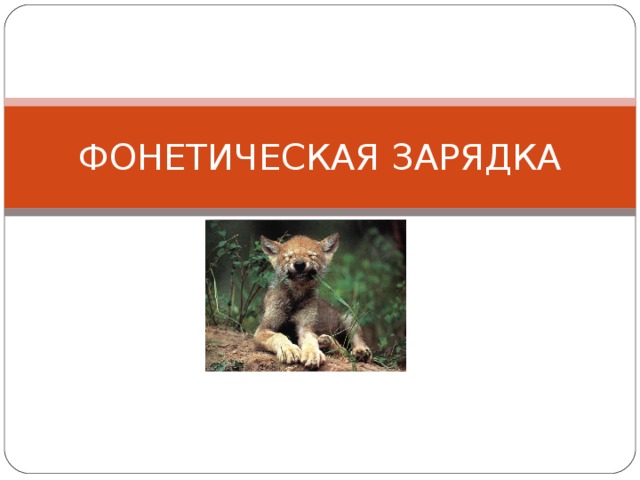 ФОНЕТИЧЕСКАЯ ЗАРЯДКА 