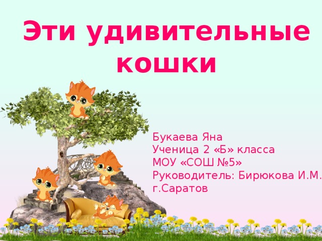 Эти удивительные кошки презентация