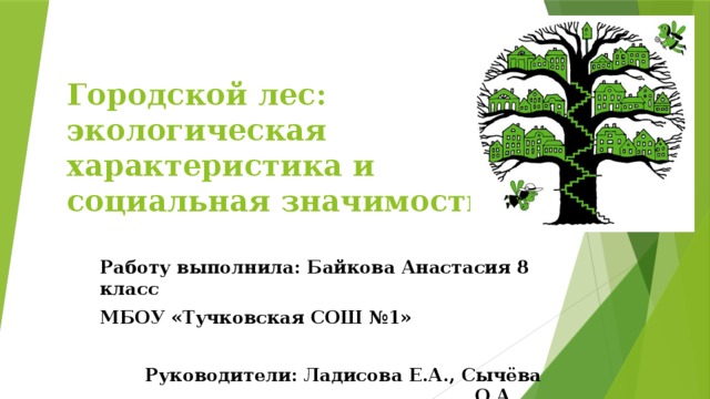 Экологическая точка зрения. Городской лес определение. Городские леса их правовой статус. Городские леса это и функции. Экологические особенности дуба.