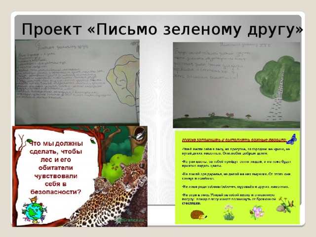 Проект «Письмо зеленому другу» 