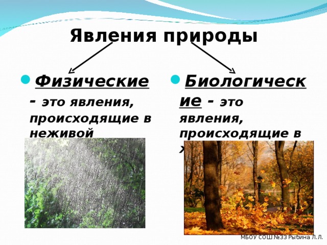 Заполните таблицу изменения в неживой природе. Биологические явления природы. Физические и биологические явления природы. Биологические явления природы примеры. Биологические химические и физические явления.