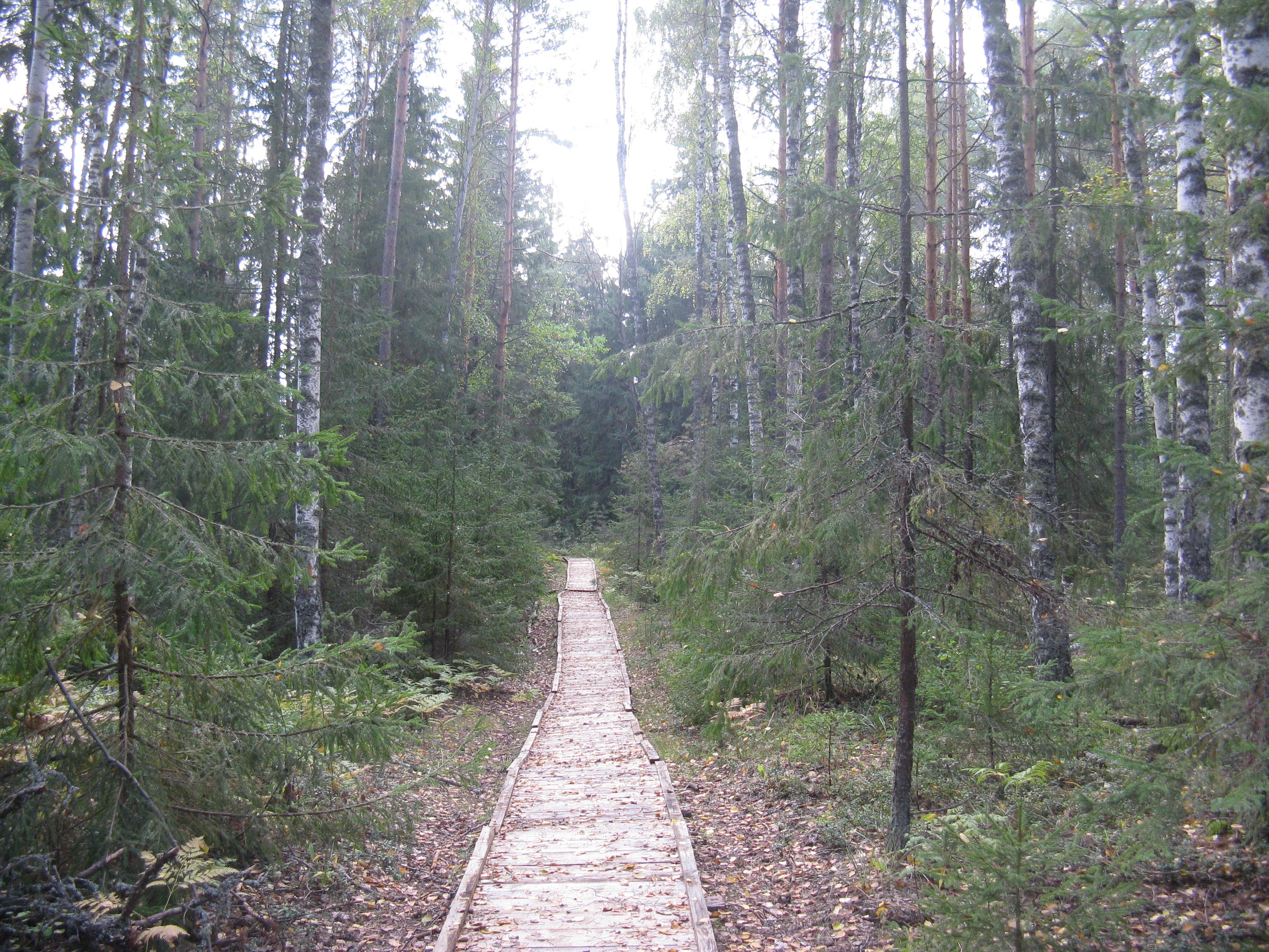 Керженский заповедник