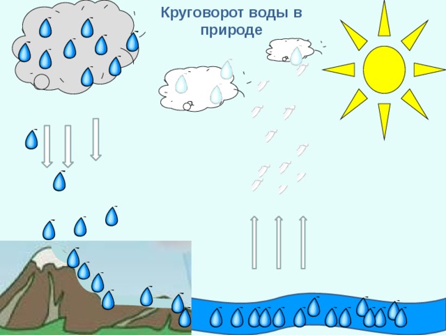 Круговорот воды в организме человека схема