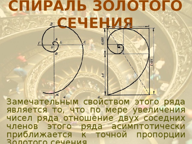 Спирали в математике и окружающем мире проект