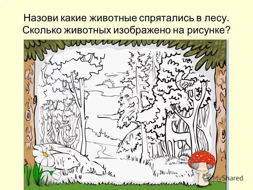 Как много интересного в лесу кто тебя больше всего заинтересовал обрати внимание на рисунок