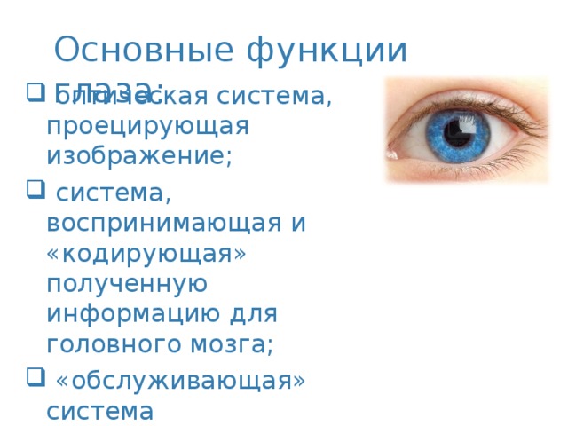 Основные функции глаза:  оптическая система, проецирующая изображение;  система, воспринимающая и «кодирующая» полученную информацию для головного мозга;  «обслуживающая» система жизнеобеспечения.  