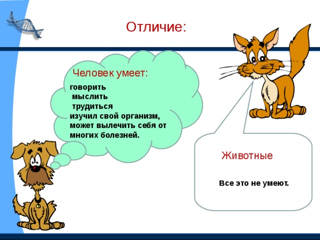 Сходство человека и млекопитающих животных свидетельствует об их родстве и общем плане