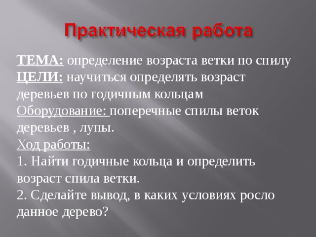 Лабораторная работа деревья. Лабораторная работа определение возраста дерева по спилу. Лабораторная работа определение возраста дерева. Лабораторная работа определить Возраст дерева по спилу. Лабораторная работа определение возраста дерева по спилу 6 класс.