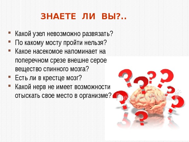 Нельзя узел. Какой узел нельзя развязать. Какой узел нельзя развязать ответ на загадку. Какой узел нельзя развязать узел. Загадка завязать можно а развязать нельзя.