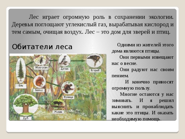 Лес играет огромную роль в сохранении экологии. Деревья поглощают углекислый газ, вырабатывая кислород и тем самым, очищая воздух. Лес – это дом для зверей и птиц. Обитатели леса  Одними из жителей этого дома являются птицы.  Они первыми извещают нас о весне.  Они радуют нас своим пением.  И конечно приносят огромную пользу.  Многие остаются у нас зимовать. И я решил выяснить и пронаблюдать какие это птицы. И оказать необходимую помощь.