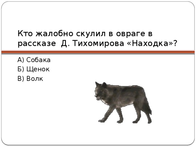 Кто жалобно скулил в овраге в рассказе Д. Тихомирова «Находка»? А) Собака Б) Щенок В) Волк 