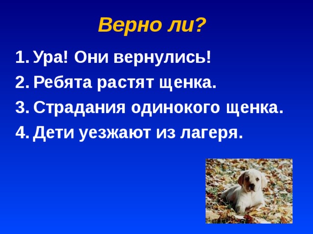 Верно ли? Ура! Они вернулись! Ребята растят щенка. Страдания одинокого щенка. Дети уезжают из лагеря. 