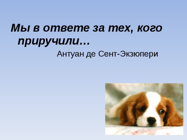 Мы в ответе за тех, кого приручили…  Антуан де Сент-Экзюпери 