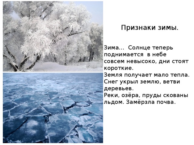 Признаки зимы. Зима… Солнце теперь поднимается в небе совсем невысоко, дни стоят короткие. Земля получает мало тепла. Снег укрыл землю, ветви деревьев. Реки, озёра, пруды скованы льдом. Замёрзла почва. 