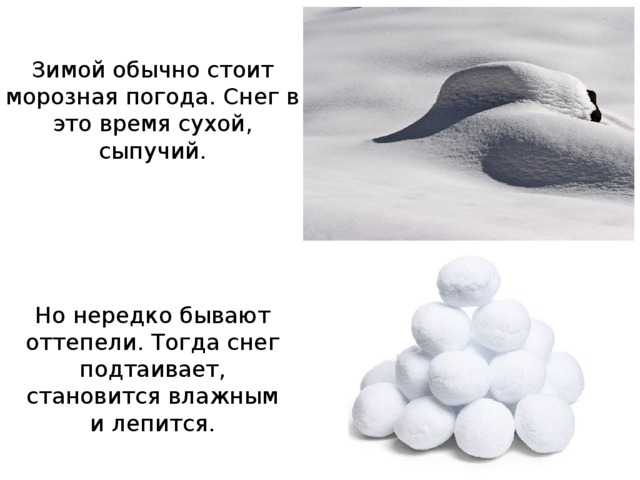 Зимой обычно стоит морозная погода. Снег в это время сухой, сыпучий. Но нередко бывают оттепели. Тогда снег подтаивает, становится влажным и лепится. 