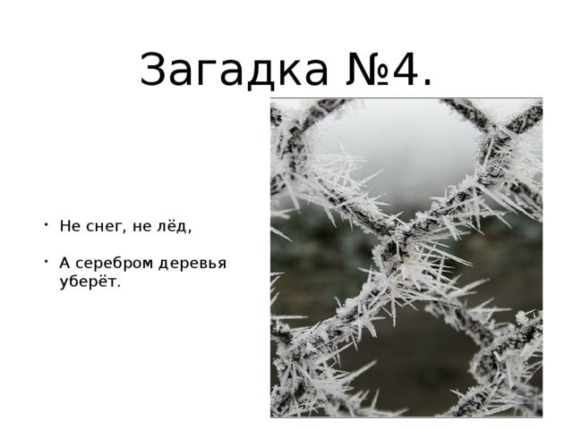 Загадка №4. Не снег, не лёд, А серебром деревья уберёт. 