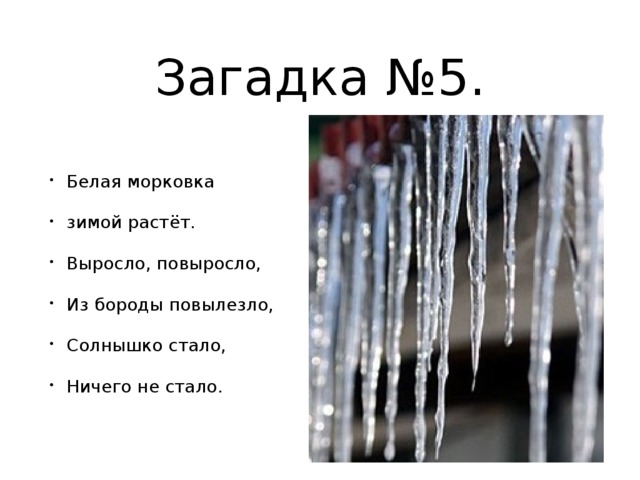 Загадка №5. Белая морковка зимой растёт. Выросло, повыросло, Из бороды повылезло, Солнышко стало, Ничего не стало. 